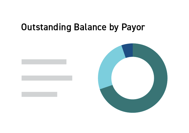 Outstanding balance by payor circle chart