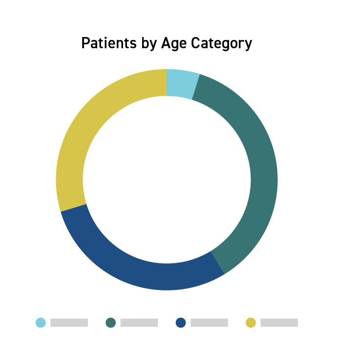 Patients by category chart