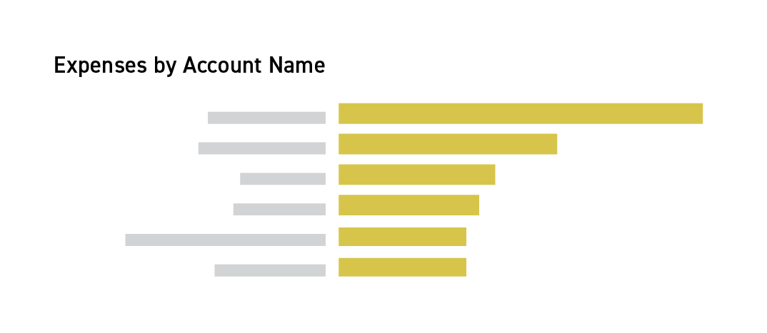 Expenses by account report