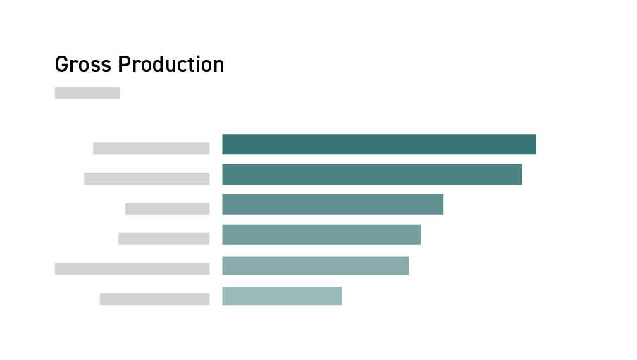 Provider gross production line graph